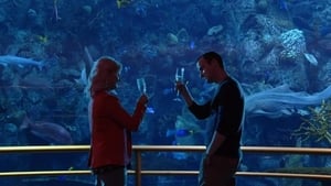 Parks and Recreation: S02E14